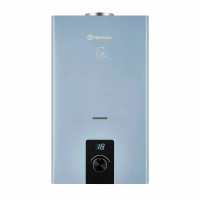 Колонка газовая THERMEX T20D Silver Grey фото