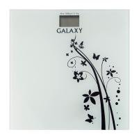 Весы Galaxy GL-4800 фото