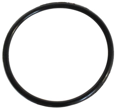 Уплотнительное кольцо для ИТА-01/03/21/25 (100мм) фото